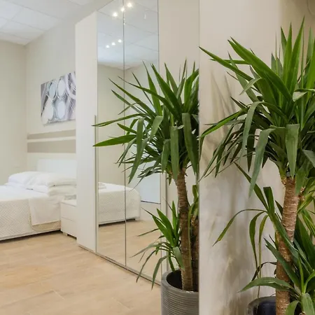 Center Guest house *